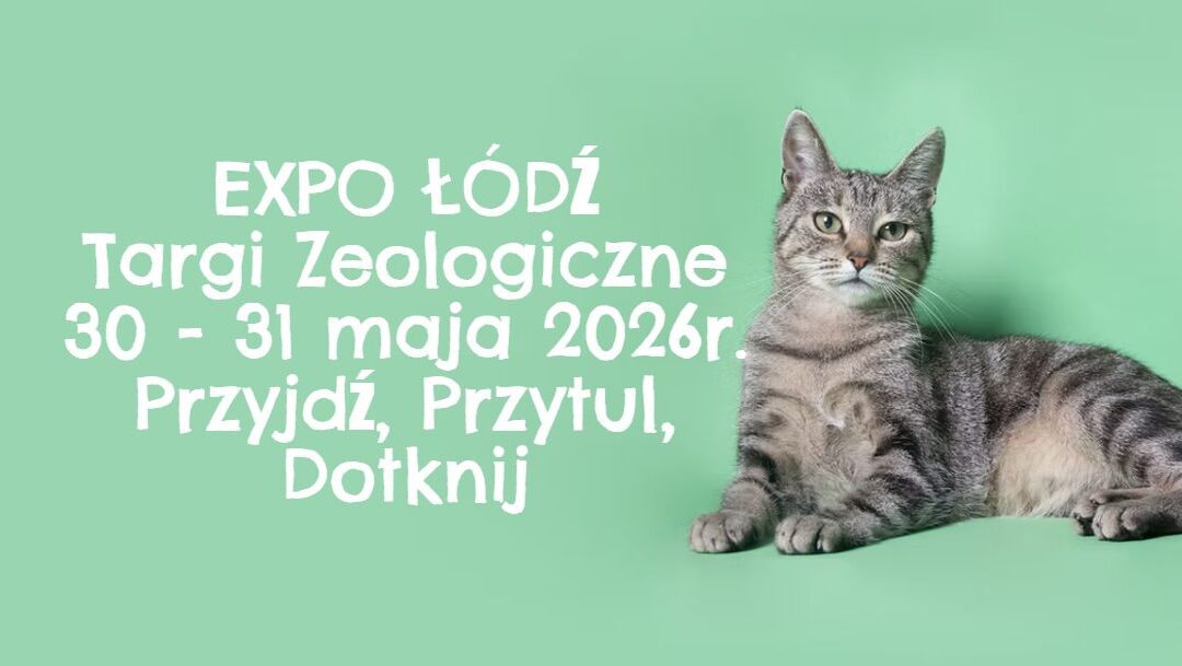 PET FAIR w Łodzi: miejsce spotkań pasjonatów i opiekunów zwierząt