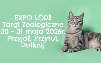 Grafika z kotem zapowiadająca targi Pet Fair w Łodzi.
