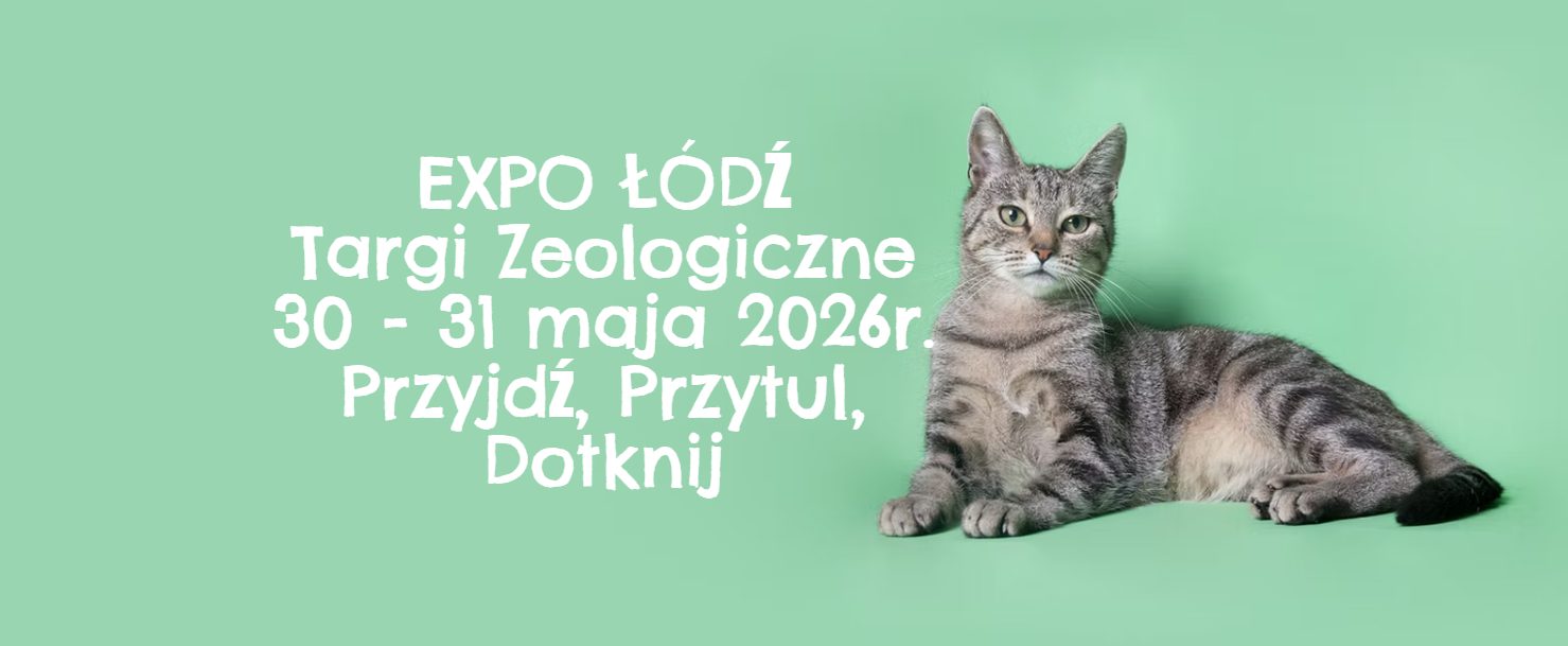 PET FAIR w Łodzi: miejsce spotkań pasjonatów i opiekunów zwierząt