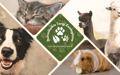 Grafika promująca Dolnośląskie Targi Zoologiczne